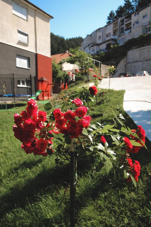 Hotel Oaza Кониц Экстерьер фото